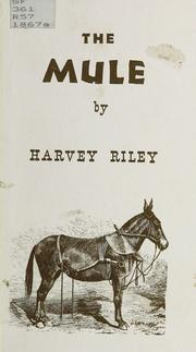 Cover of: The mule. by Harvey Riley