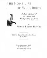 Cover of: The home life of wild birds: a new method of the study and photography of birds
