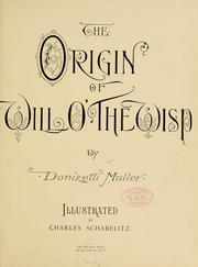 The origin of will o' the wisp by Donizetti Muller