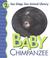 Cover of: Baby Chimpanzee