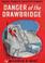 Cover of: Danger at the Drawbridge
