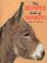 Cover of: The Bumper Book of Donkeys
