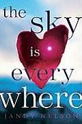 Cover of: The sky is everywhere