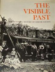 The visible past by Adelaide Leitch
