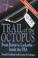 Cover of: Trail of the Octopus