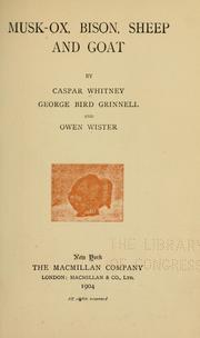 Cover of: Musk-ox, bison, sheep, and goat