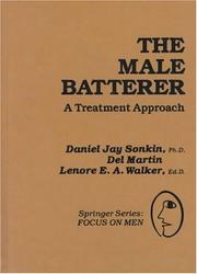 Cover of: The male batterer: a treatment approach