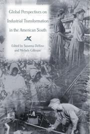 Cover of: Global Perspectives on Industrial Transformation in the American South (New Currents in the History of Southern Economy and Society)