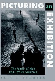 Cover of: Picturing an exhibition by Eric J. Sandeen