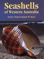 Cover of: Seashells of Western Australia by Fred E. Wells