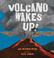 Cover of: Volcano wakes up!