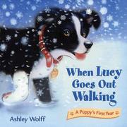 Cover of: When Lucy goes out walking by Ashley Wolff