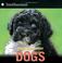 Cover of: Dogs