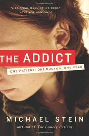 Cover of: The Addict by Michael Stein, Michael Stein