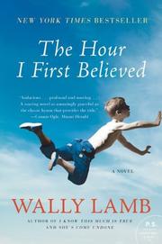 Cover of: The Hour I First Believed: A Novel (P.S.)
