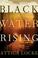 Cover of: Black water rising