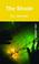Cover of: The Shade