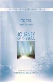 Cover of: Journey of the Soul by Shnuer Zalman