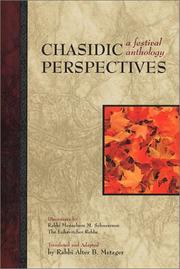 Cover of: Chasidic perspectives