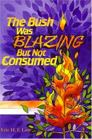 Cover of: The bush was blazing but not consumed: developing a multicultural community through dialogue liturgy