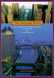 The Chicago River by David Solzman