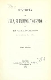 Cover of: Historia de Avila: su provincia y obispado.