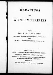 Cover of: Gleanings from western prairies | W. E. Youngman