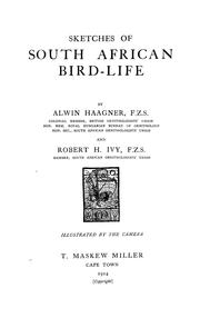 Cover of: Sketches of South African bird-life by Alwin Karl Haagner, Alwin Karl Haagner