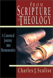 Cover of: From scripture to theology: a canonical journey into hermeneutics