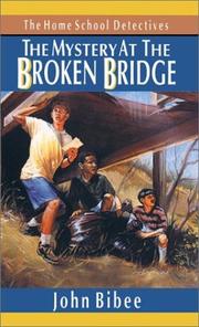 Cover of: The mystery at the broken bridge by John Bibee