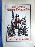 Cover of: The little Mexican donkey boy