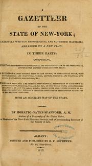 Cover of: A gazetteer of the state of New-York