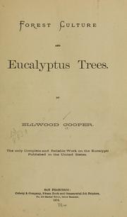 Forest culture and eucalyptus trees