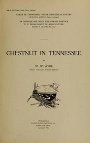 Cover of: Chestnut in Tennessee