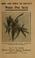 Cover of: How and when to collect white pine seed...