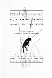 Cover of: Under the open sky by Samuel Christian Schmucker
