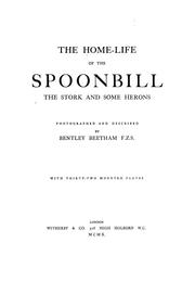 The home-life of the spoonbill, the stork and some herons by Bentley Beetham