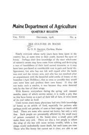 Bee culture in Maine