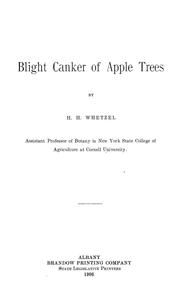 Cover of: The blight canker of apple trees by Herbert Hice Whetzel