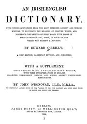 Cover of: An Irish-English dictionary