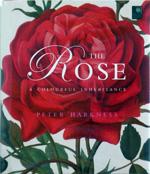 Cover of: The Rose (Mini Flora Editions)
