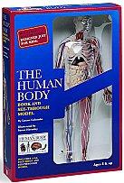 Cover of: The Human Body Book nd See-Through Model