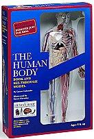 Cover of: The Human Body Book nd See-Through Model by Luann Colombo, Becker & Mayer Ltd., Luann Colombo, Becker & Mayer Ltd.