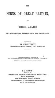 Cover of: The ferns of Great Britain, and their allies the club-mosses, pepperworts, and horsetails by Anne Pratt