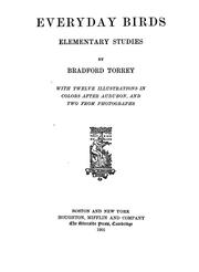 Cover of: Everyday birds: elementary studies