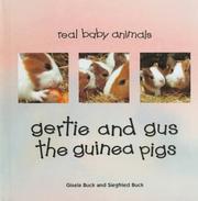 Cover of: Gertie and Gus the guinea pigs