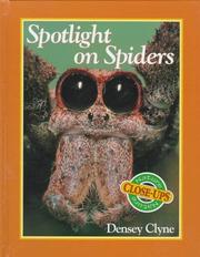 Cover of: Spotlight on spiders