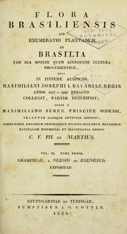 Cover of: Flora Brasiliensis by Karl Friedrich Philipp von Martius