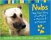 Cover of: Nubs