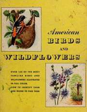Cover of: American birds and wildflowers